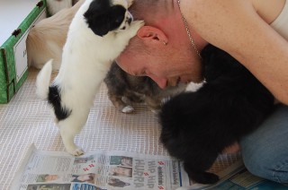 30.01.2011 Hundekunster 038
