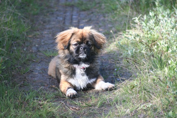 23.6.14 tur i sjolia xena 042