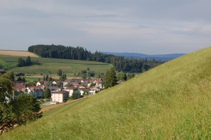 25.07.2014 Parringstur og hvalpebilleder 072