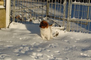 Aiko : Hvor blev de af ?