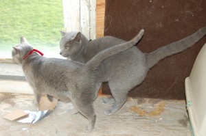 Jamuna with red and Scott with blue