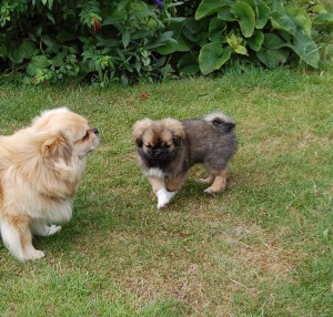 Joe og hans datter Frigga