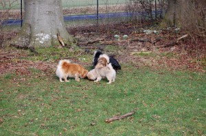 Ruby og Bonnie har fundet et sted der dufter godt