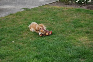 21.04.2016 Silke`s fødselsdag 075