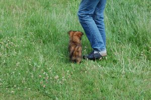 27.06.2016 MumiDSC_0094 (77)